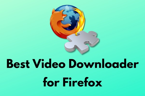 best flash downloader for firefox